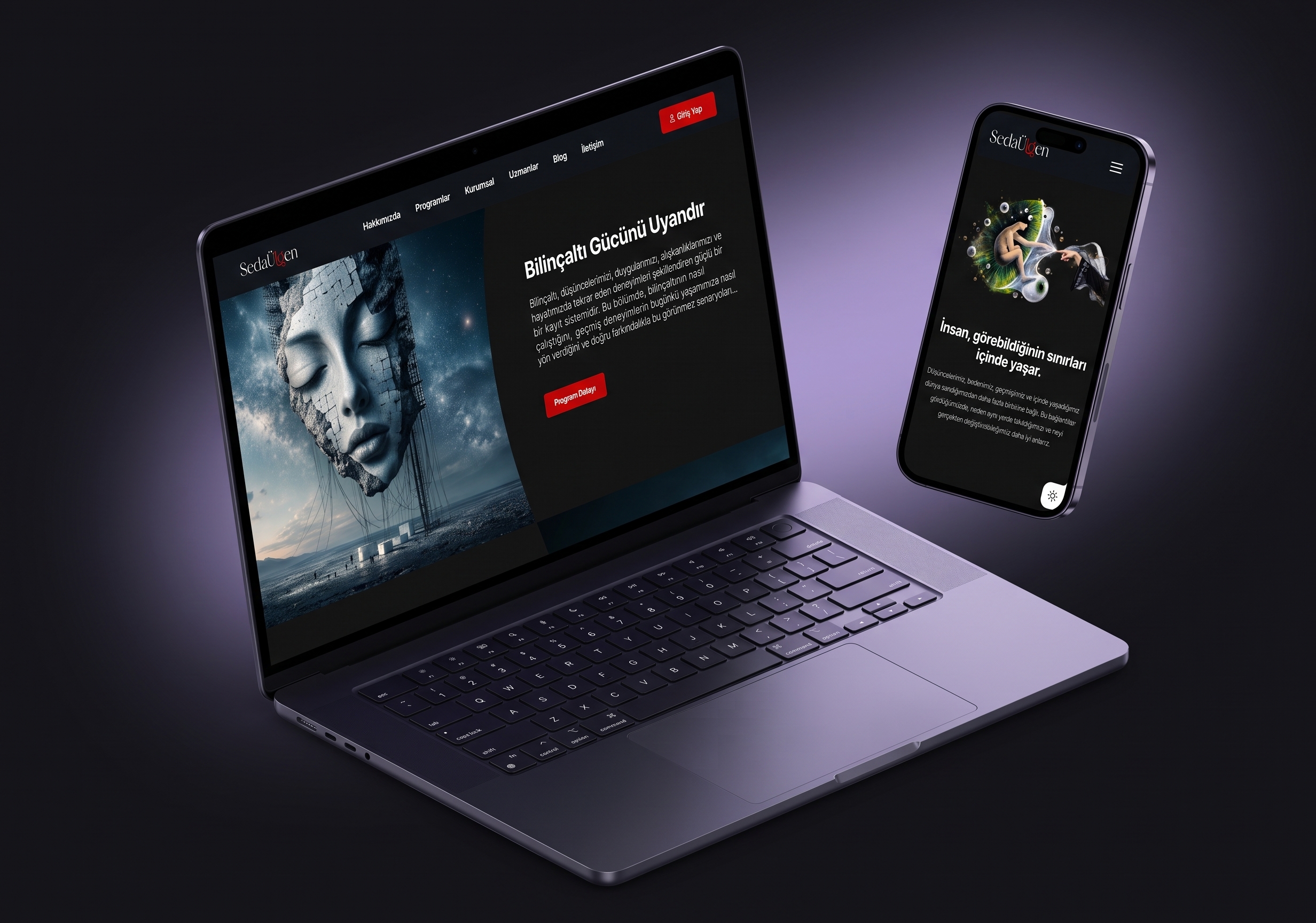 sedaulgen.com